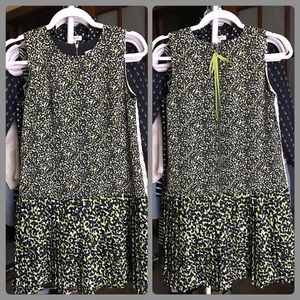 LOFT Drop Waist Dress